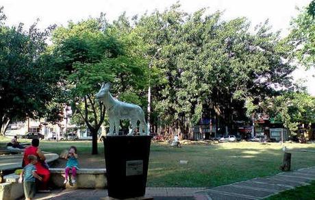 El Parque del Perro, Homenaje a un Can Singular