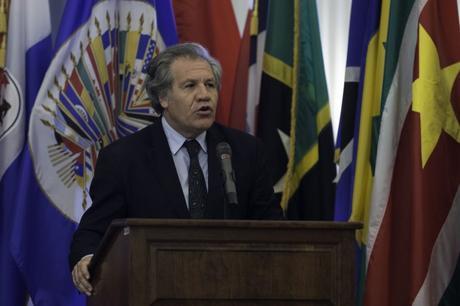 OEA lista para discutir la crisis en Venezuela