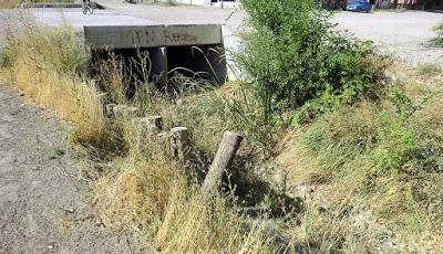 El verde que te quiero verde en el Canal Guemes de Piedra del Aguila