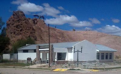 Caballos sueltos disfrutan del verde al frente de la Plaza del Barrio Jardín.-