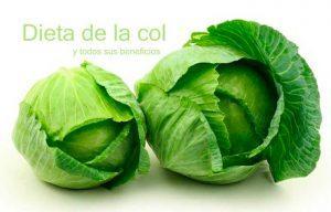 Dieta de la col o el repollo ¿consigue quemar más grasa? dieta de la sopa de col quemagrasas