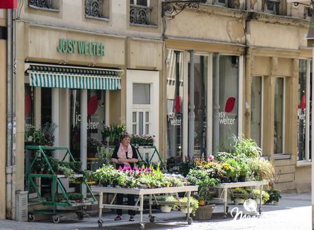 Luxemburgo (o cuando los niños perciben todo) Luxemburgo (o cuando los niños perciben todo)