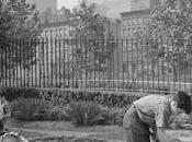 jardines Victoria