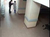 video violento