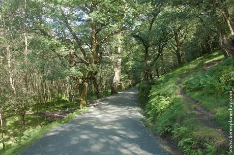 Glendalough camino lago Condado Wicklow Irlanda