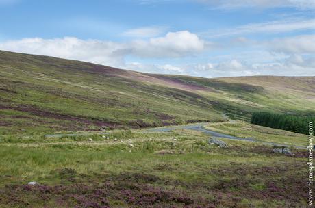 Paisaje Wicklow Mountains Irlanda