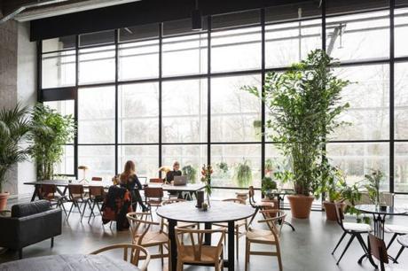 un coworking muy natural