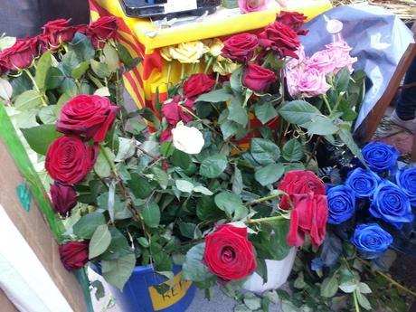 Sant Jordi en Barcelona: ¡se llenan las calles de libros…y color!