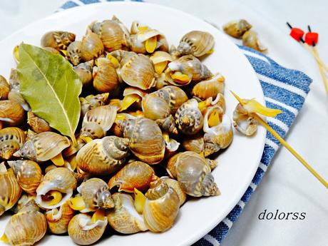Cómo cocer bígaros y caracolillos de mar
