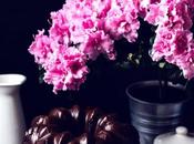 Bundt Cake Chocolate Baileys