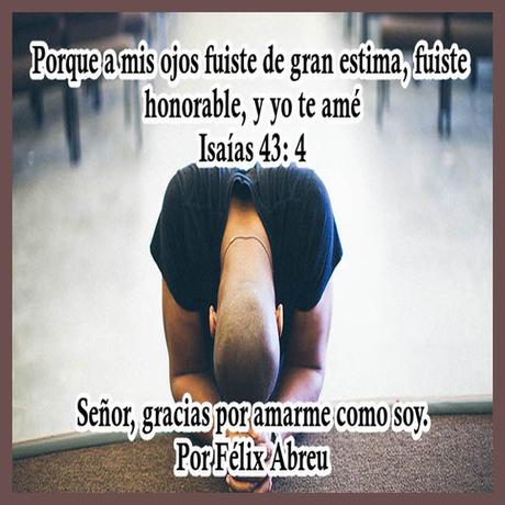 ADMINISTRADOR DE IMAGEN