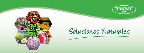 Productos Energizantes Complejos Vitamínicos 