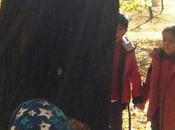 Jornadas Puertas Abiertas: Luna Escuela Infantil Primaria