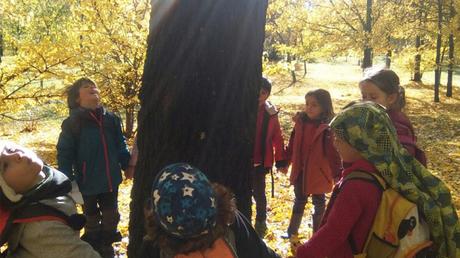 Jornadas de Puertas Abiertas: El Pez Luna Escuela de Infantil y Primaria