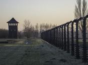 Visitar memorial campo concentración Auschwitz.
