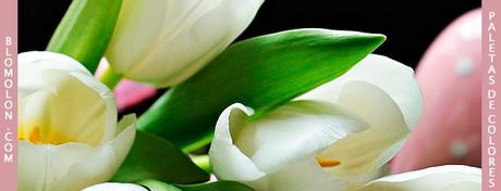 Paletas de Colores 12