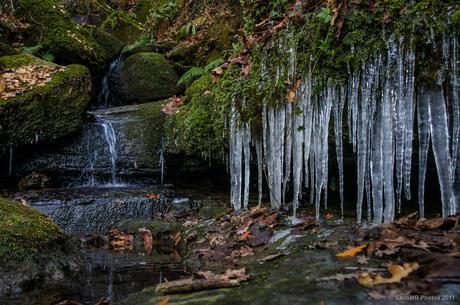 El rincón del frío
