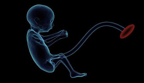Bebé En Utero ¿Qué Es Aquello Que Se Aborta?