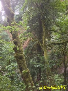 La Cascada Multnomah y el Monte Santa Helena (Viaje por el Noroeste de los Estados Unidos XVI)