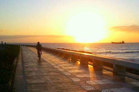 Descubre Que Hacer y Que Ver En Las Palmas De Gran Canarias. 10 Opciones Para Un Viaje Perfecto