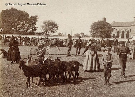 La cabra y el vacuno en la gastronomia Jareña