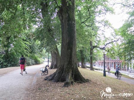 Brujas (o cuando los recuerdos se construyen) Brujas (o cuando los recuerdos se construyen)