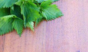Remedio casero para la urticaria de ortiga