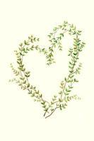 Presentación del Reto Creativo Nº 87 