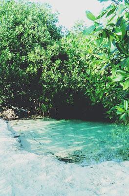 Lo que no te puedes perder de la Riviera Maya.