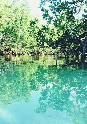 Lo que no te puedes perder de la Riviera Maya.