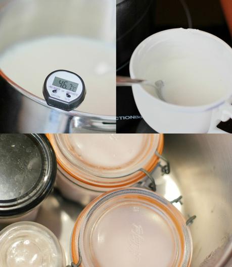 yogur natural Yogur de moras con semillas de Chía yogur casero recetas delikatissen postres lacteos postres fáciles postres caseros como hacer yogur en casa 