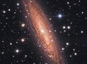 ✨NGC 2613 Steven Mazlin