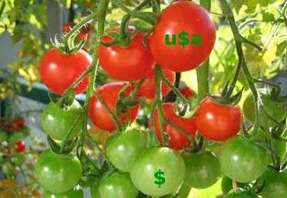 Dólares y tomates (por ejemplo)