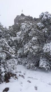 Primavera : retirando alambre y primeros pinzados
