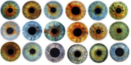 ¿Qué revela el color de tus ojos?