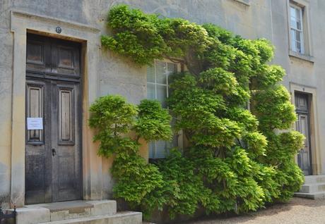 Dos Instagrammers sueltas en Cambridge