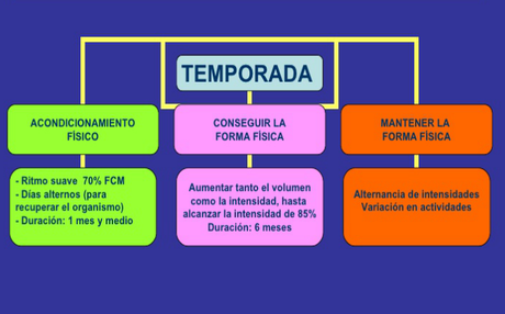 Programa Especial De Entrenamiento Físico Para Ser Un Maestro Del Ejercicio