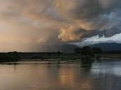 Danubio