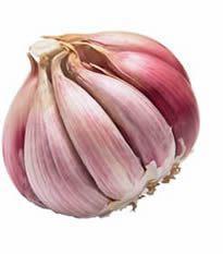 Ajo: indicaciones y efectos secundarios