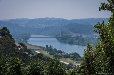 Ponte Rainha Santa Isabel