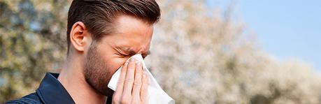 El clima y las afecciones alérgicas