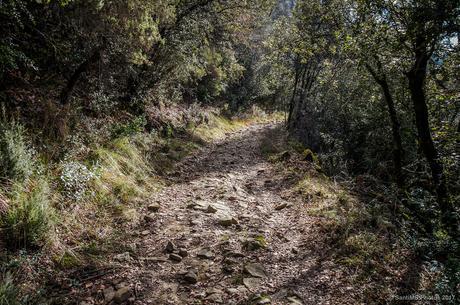 No vayas por la sombra