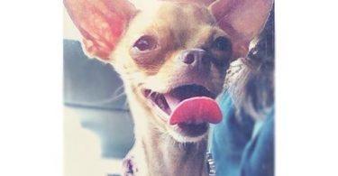 Galería exclusiva de la entrega de Awards en Doble Tentación 17437560_497092390679845_3754901370713407488_n