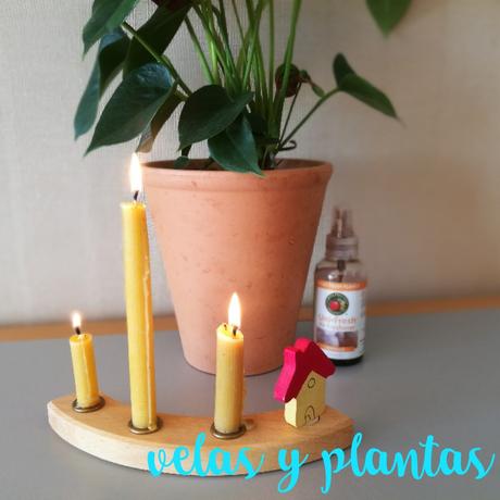 VELAS Y PLANTAS