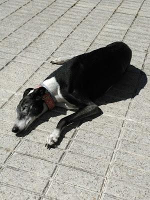 Momentos para el recuerdo. Cine y literatura para el olvido Momentos para el recuerdo. Cine y literatura para el olvido