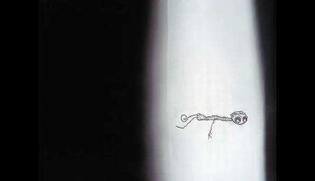 The Meaning of Life - 2005