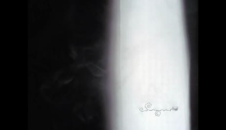 The Meaning of Life - 2005