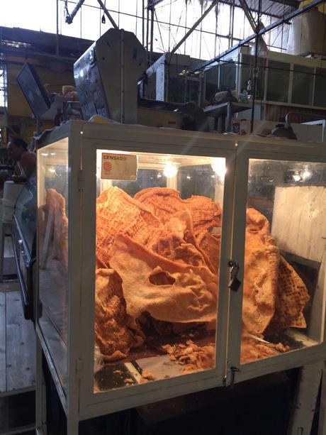 En un mercado en México (100 fotos del color de la tierra)