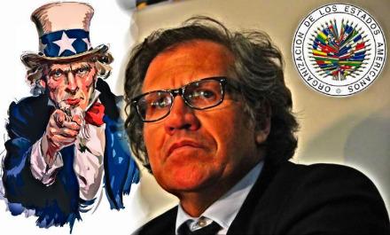 El plan destituyente del Pentágono y el secretario de la OEA