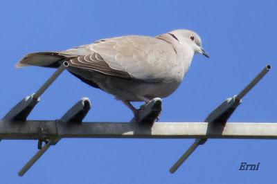 PRIMAVERA EN ACCIÓN